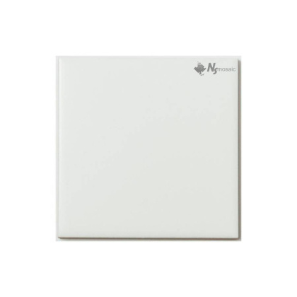 Мозаика FK-102M керамика матовая (100*100) белая