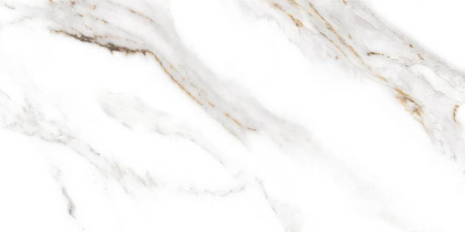 GT97VG Плитка облиц. Capella GT Бел. 50*25 _ 1 \74,25