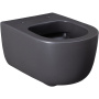 Чаша подвесного унитаза Allen Brau Priority 4.31002.AN антрацит Чаша подвесного унитаза Allen Brau Priority 4.31002.AN антрацит
