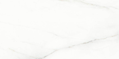 Voyage Blanco Керамогранит белый SG50002320R 60х119,5 матовый