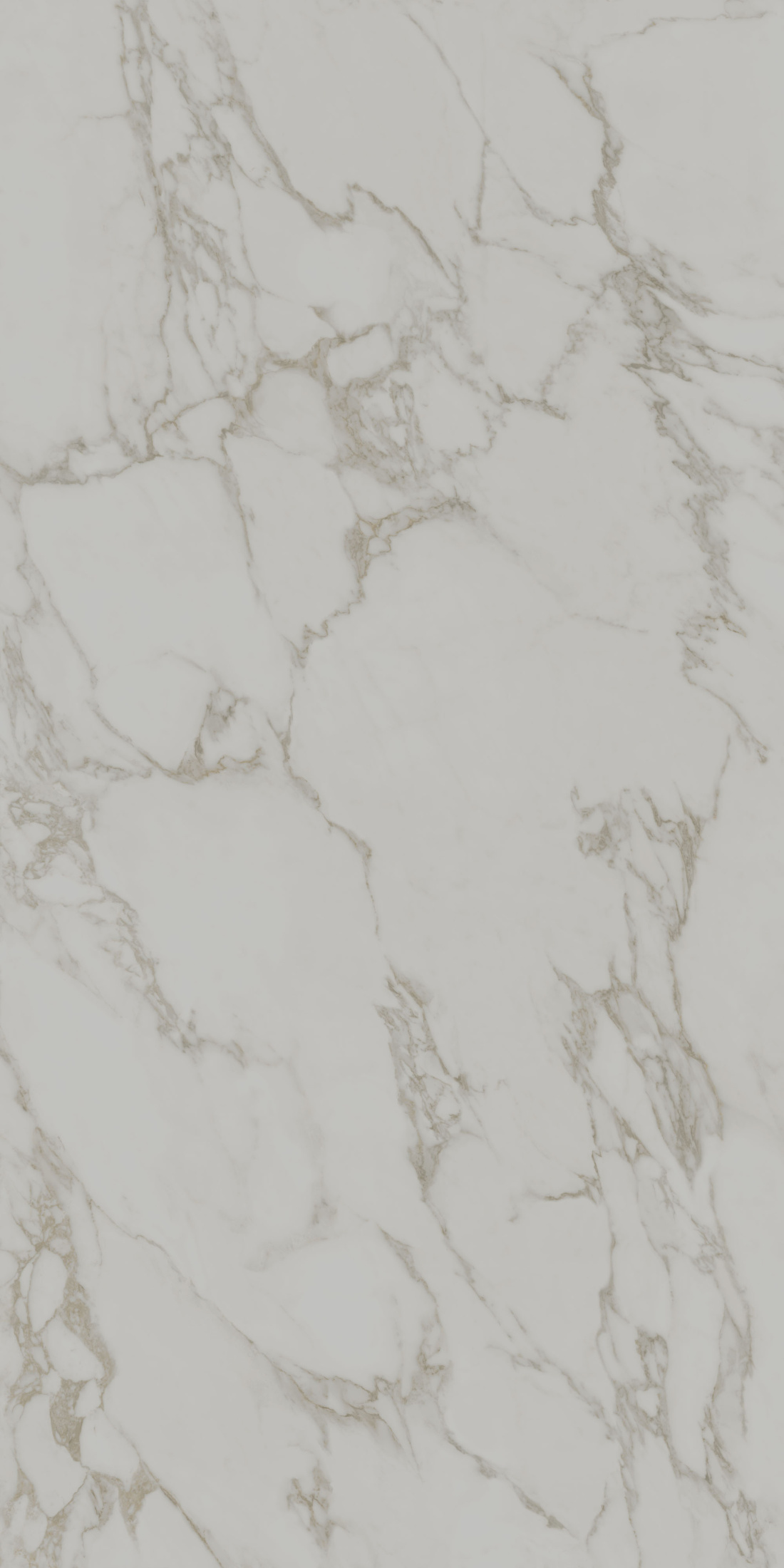 Монте Тиберио серый светлый матовый обрезной 119,5x238,5x1,1