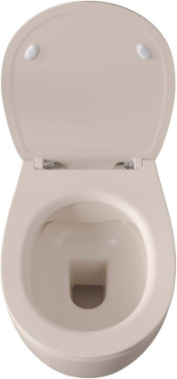 Подвесной унитаз Allen Brau Fantasy 4.11004.IV айвори