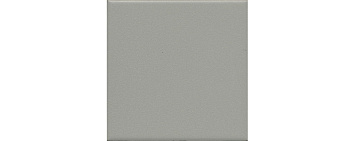 Керамогранит 1329S Агуста серый светлый (9,8см*9,8см*7мм) (100шт/0,96м2) матовый, м2