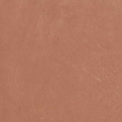 Керамогранит Argillae Coral Rect 60х60