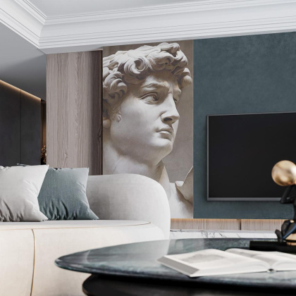 Ковер VT\A564\SG5918R Давид 1 коричневый (119,5см*238,5см*11мм) (1шт/2,85) матовый, м2