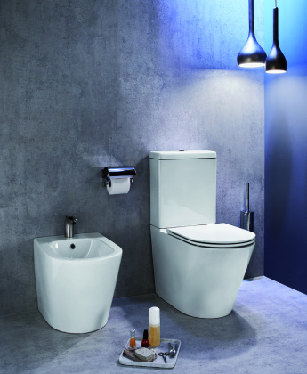 Крышка-сиденье для унитаза  E23280-00 Jacob Delafon Rodin+ белый с микролифтом, шт