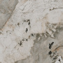 Ониче лаппатированный обрезной 119,5x119,5x1,1