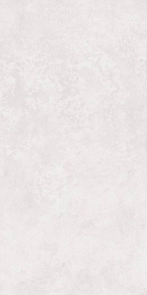 Керамогранит Intra Plum scs matt (light) 79,8х159,8