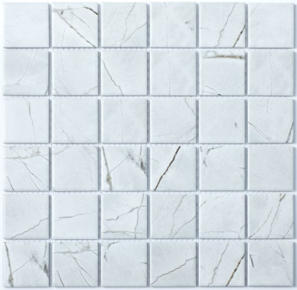 P-509 керамика матовая(306*306)22