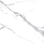 Calacatta Splendid Silver Керамогранит белый 60х60 Матовый Calacatta Splendid Silver Керамогранит белый 60х60 Матовый