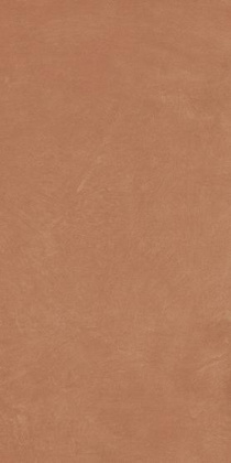 Керамогранит Anti-Slip Argillae Coral Rect 60х120 Керамогранит Anti-Slip Argillae Coral Rect 60х120