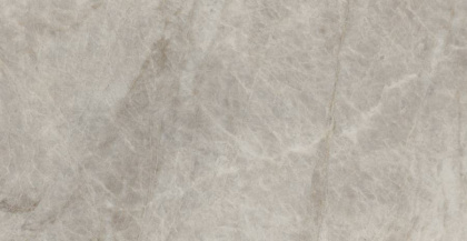 Керамогранит MO07 30,6x60,9x8 Непол.