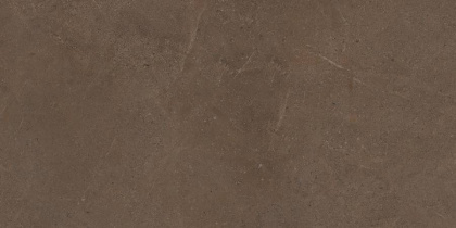 Керамогранит GO03 60x120x10 Непол.Рект. Керамогранит GO03 60x120x10 Непол.Рект.