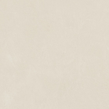 Керамогранит Anti-Slip Argillae Neve Rect 60х60