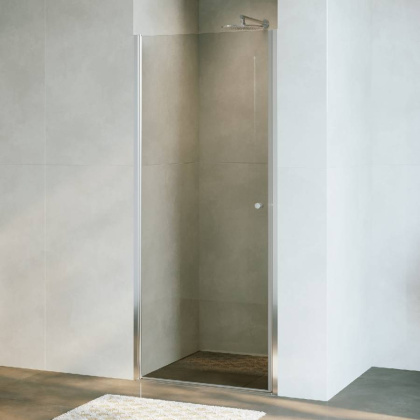 Душевая дверь Dolphin TN-03, RGW 54930307-11 Душевая дверь Dolphin TN-03, RGW 54930307-11