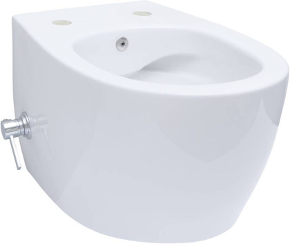 Подвесной унитаз Allen Brau Fantasy 4.11HC1.20