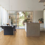 Ламинат Quick Step MAGESTIC MJ3546 Дуб лесной массив натуральный (9,5мм/32кл/2,952м2), м2
