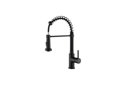 Смеситель для кухни 2 jet (профессиональный) AQUATEK, матовый черный AQ1387MB ЕВРОПА Смеситель для кухни 2 jet (профессиональный) AQUATEK, матовый черный AQ1387MB ЕВРОПА