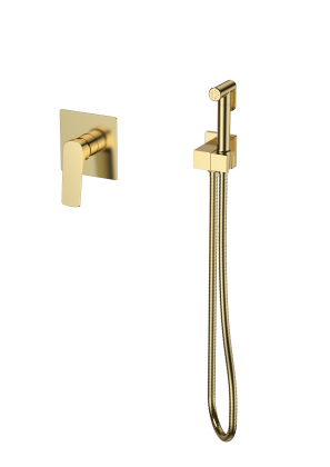 Смеситель Splenka с гигиеническим душем встраиваемый S30.53