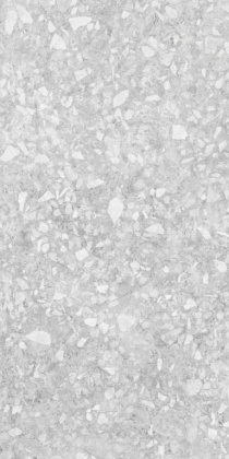 Керамогранит K-2111/MR/600x1200x10 KERRANOVA 60х120