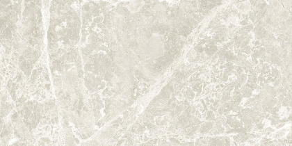 GT209VG Настенная плита Action_GT светло-сер. 30x60 _ 1\58,32