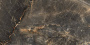 GT408013305MCR Керамогранит Maximus_GT Черный 40x80 _ 1\38,4 GT408013305MCR Керамогранит Maximus_GT Черный 40x80 _ 1\38,4