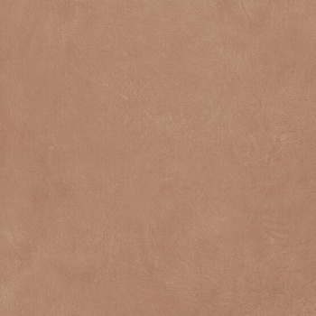 Керамогранит Argillae Gobi Rect 120х120