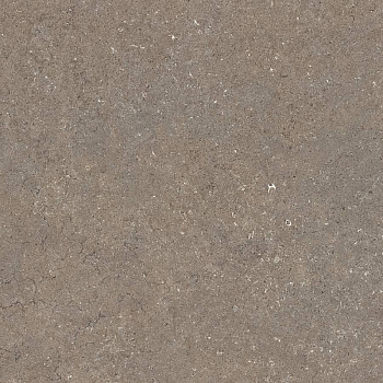 Дискавер Дезерт 60 Рет