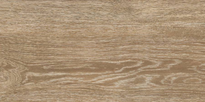 6260-0244-1031 Керамогранит Сosy_GT Кор. 30x60 _ 1\46,08