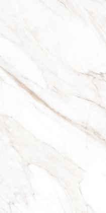 Керамогранит Calacatta Gold Polished 60х120 Керамогранит Calacatta Gold Polished 60х120