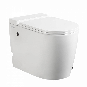 Приставной унитаз Abber Bequem AC1114P импульсный с микролифтом