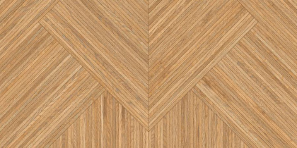 GT1206022701MSR11 Керамогранит Destiny_GT Серый 60x120 _ 1\43,2