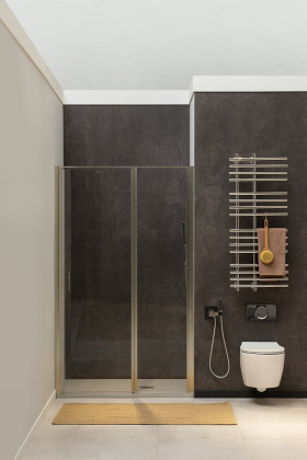 Душевая дверь Allen Brau Priority 100 3.31005.BA серебро браш