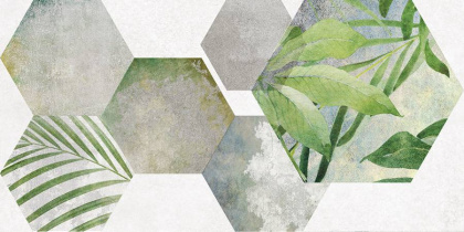 Плитка настенная 34090 Focus зеленый ботаника 25*50 (12шт/1,5м2), м2