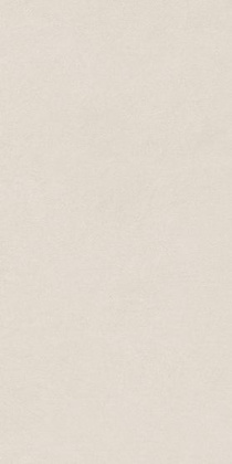 Керамогранит Argillae Neve Rect 30х60 Керамогранит Argillae Neve Rect 30х60