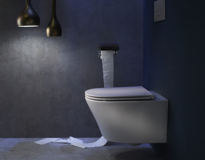 Унитаз EDY102-00 Jacob Delafon  Rodin+ белый подвесной, шт