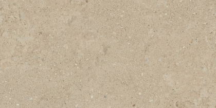 Керамогранит NP02 30,6x60,9x8 Непол. Керамогранит NP02 30,6x60,9x8 Непол.