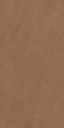 Керамогранит Anti-Slip Argillae Terra Rect 30х60 Керамогранит Anti-Slip Argillae Terra Rect 30х60