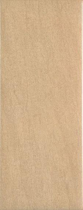 Плитка Globe Miel 20х50