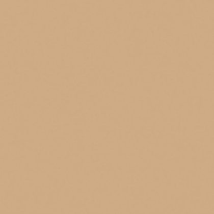 Керамогранит RW15 30x30 Непол.Рект.