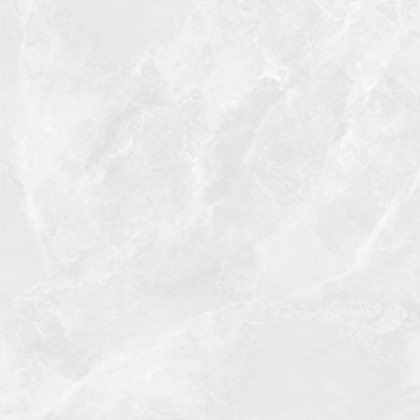 Regnum Bianco Керамогранит светло-серый CR6060G0391R 59,5х59,5 матовый