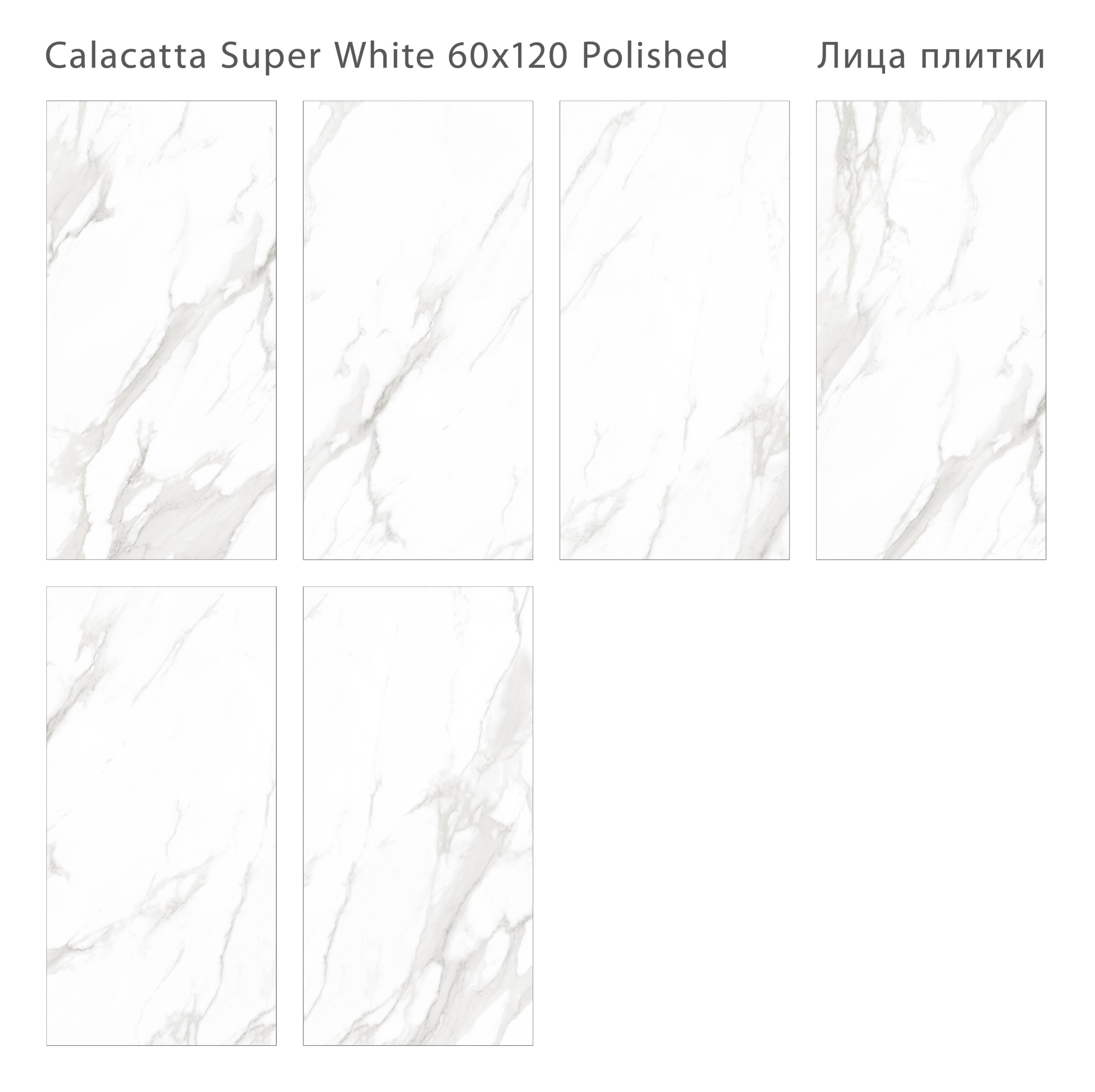 Плитка Calacatta Super White 60x120 Polished (2 шт.в уп)