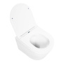 TRE Чаша унитаза подвесного c креплением и сиденьем дюропласт soft close BB8001CHR/SC TRE Чаша унитаза подвесного c креплением и сиденьем дюропласт soft close BB8001CHR/SC