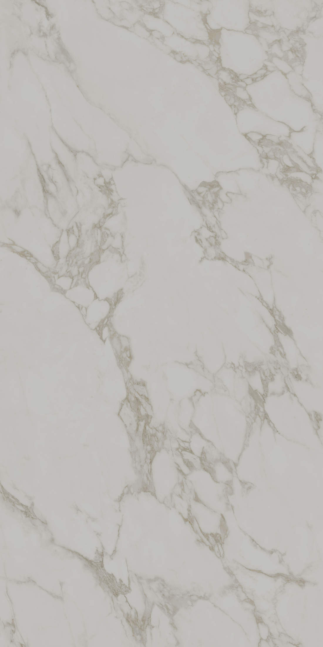 Монте Тиберио серый светлый матовый обрезной 119,5x238,5x1,1