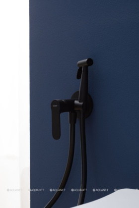 Смеситель с гигиеническим душем Aquanet Passion AF300-52B (с внутренней частью)