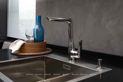 Смеситель для кухни Aquanet Pragmatic AF430-41С