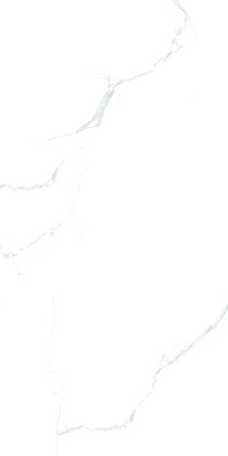 Керамогранит 600x1200 SILVER SATUARIO Керамогранит 600x1200 SILVER SATUARIO