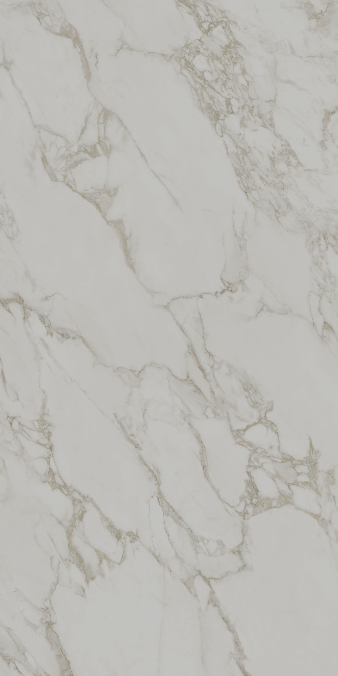 Монте Тиберио серый светлый матовый обрезной 119,5x238,5x1,1