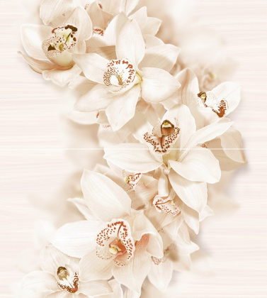 1605-0001 Декор кер. AROMA_GT Беж. 45*50 панно в кор.4 кмп (1 комп-2 шт.) 1 \4 1605-0001 Декор кер. AROMA_GT Беж. 45*50 панно в кор.4 кмп (1 комп-2 шт.) 1 \4