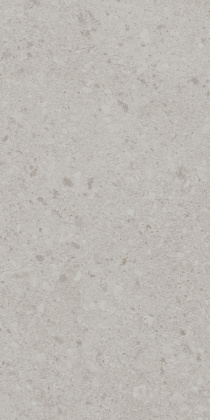 Чеппо ди Гре серый светлый матовый обрезной 119,5x238,5x1,1
